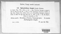 Sporisorium sorghi image
